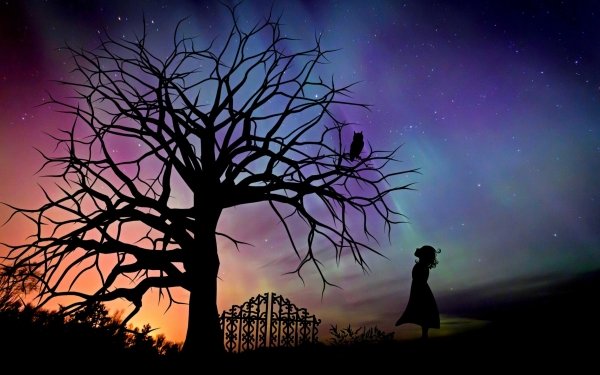 Fantasy Child Little Girl Silhouette Owl Night Tree Starry Sky HD Wallpaper | Background Image