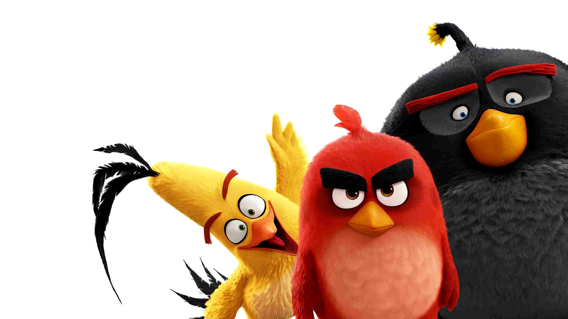 The Angry Birds Movie Hd Wallpaper Background Image 1920x1080