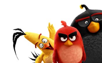 122 Angry Birds Hd Wallpapers Background Images Wallpaper Abyss