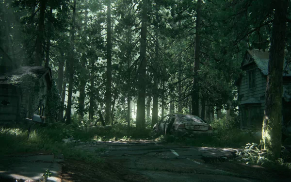 HD desktop wallpaper of The Last of Us Part II featuring an eerie forest scene with overgrown vegetation, abandoned buildings, and a rusted car. Sunlight filters through the dense trees.
