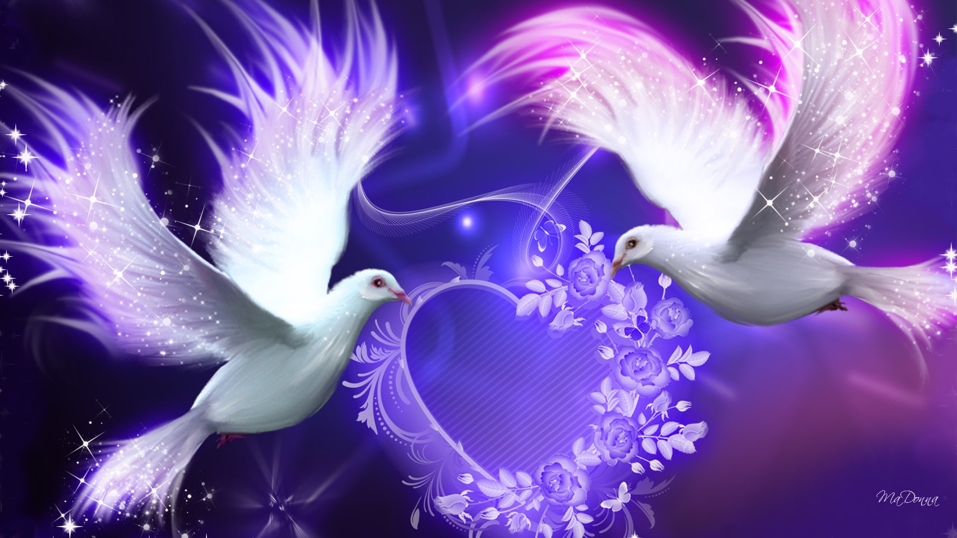 High Quality Dove Wallpapers Desktop Background