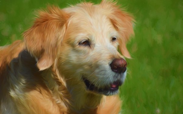 Animal Dog Dogs Painting Oil Painting HD Wallpaper | Background Image