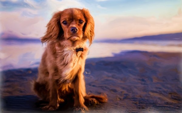 Animal Spaniel Dogs Dog Painting Oil Painting HD Wallpaper | Background Image