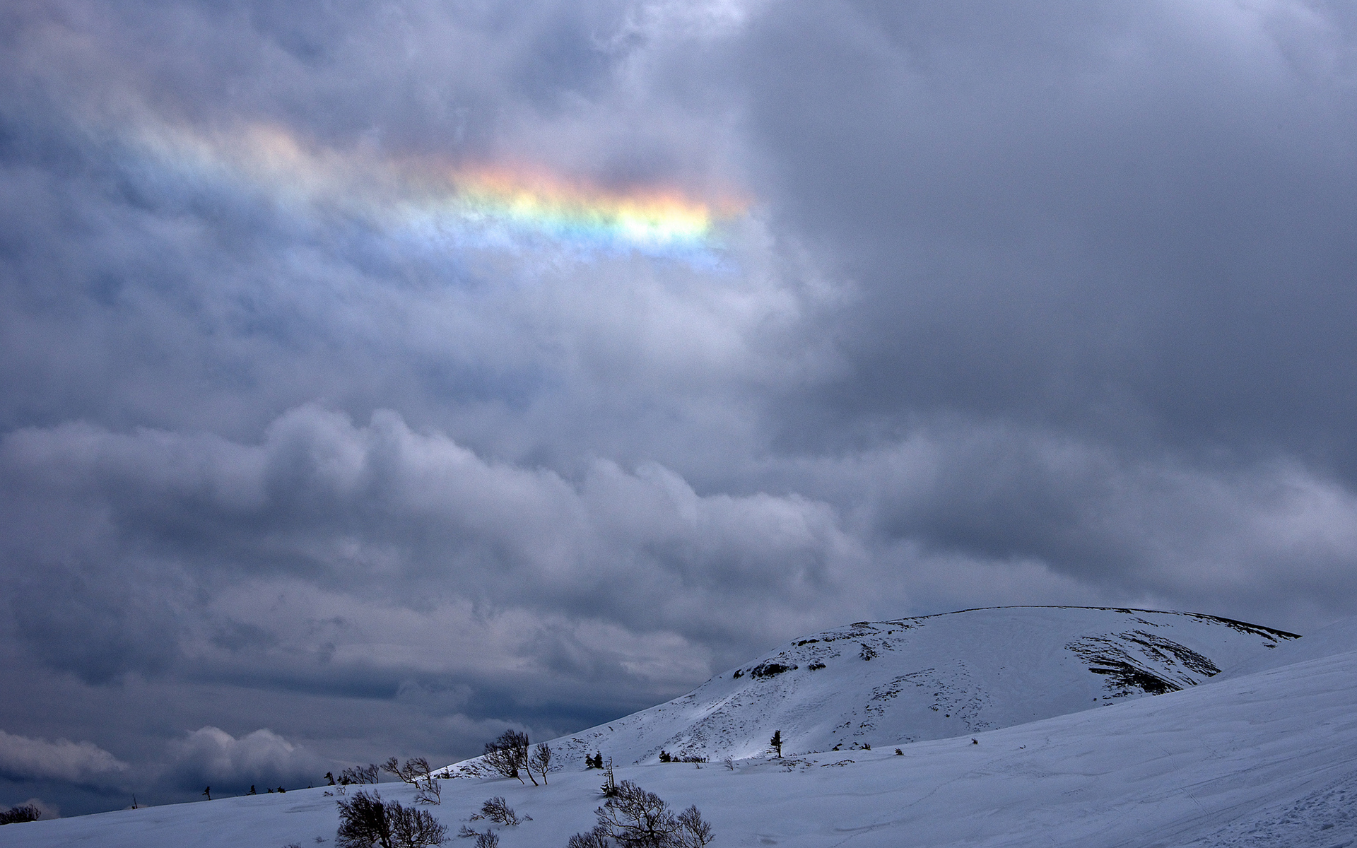 Download Rainbow Cloud Snow Tree Mountain Nature Winter HD Wallpaper