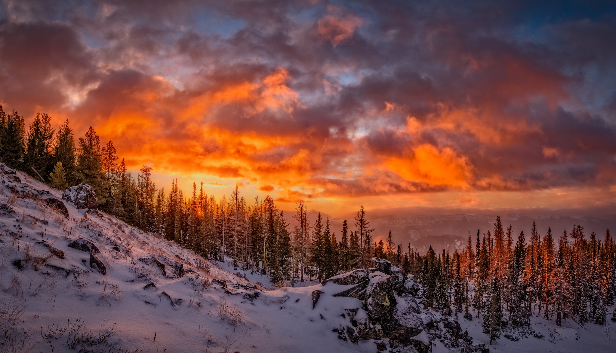 Download Forest Cloud Snow Winter Sunset Nature Landscape HD Wallpaper