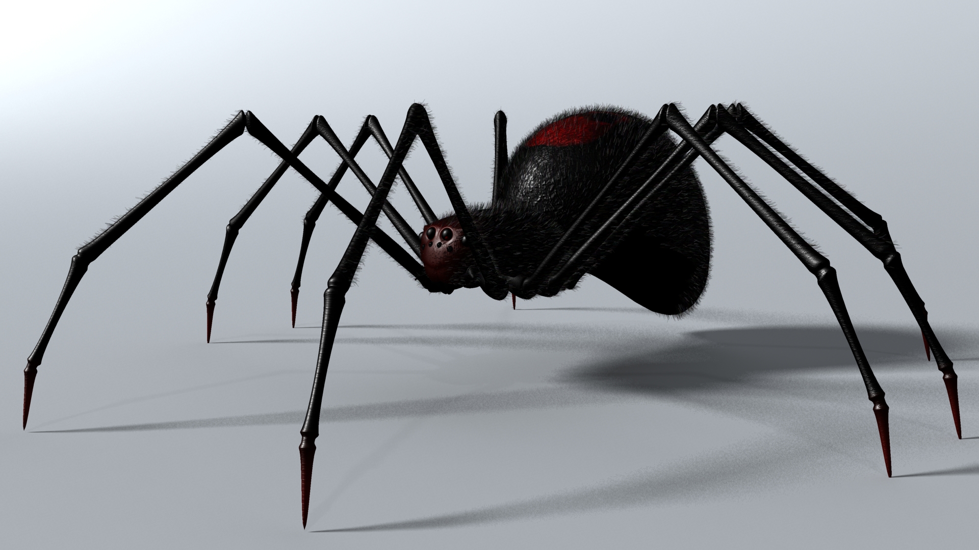 Black Spider by supercigale