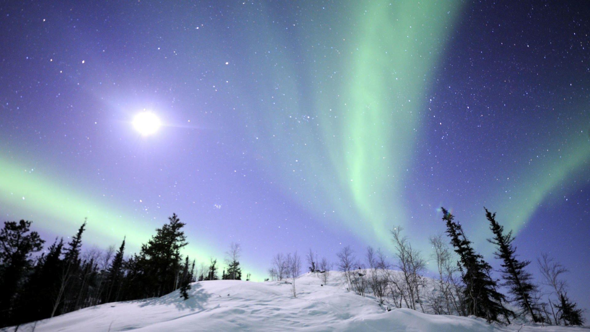 Vivid aurora borealis lights shimmer above snow-covered trees in a serene winter landscape, captured in this HD desktop wallpaper and background.