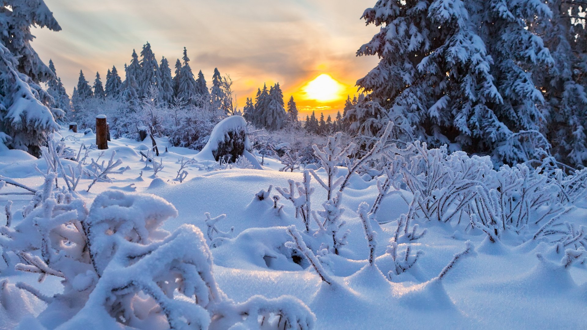 Download Sunset Tree Snow Nature Winter Winter Sunset HD Wallpaper, image size:1920x1080