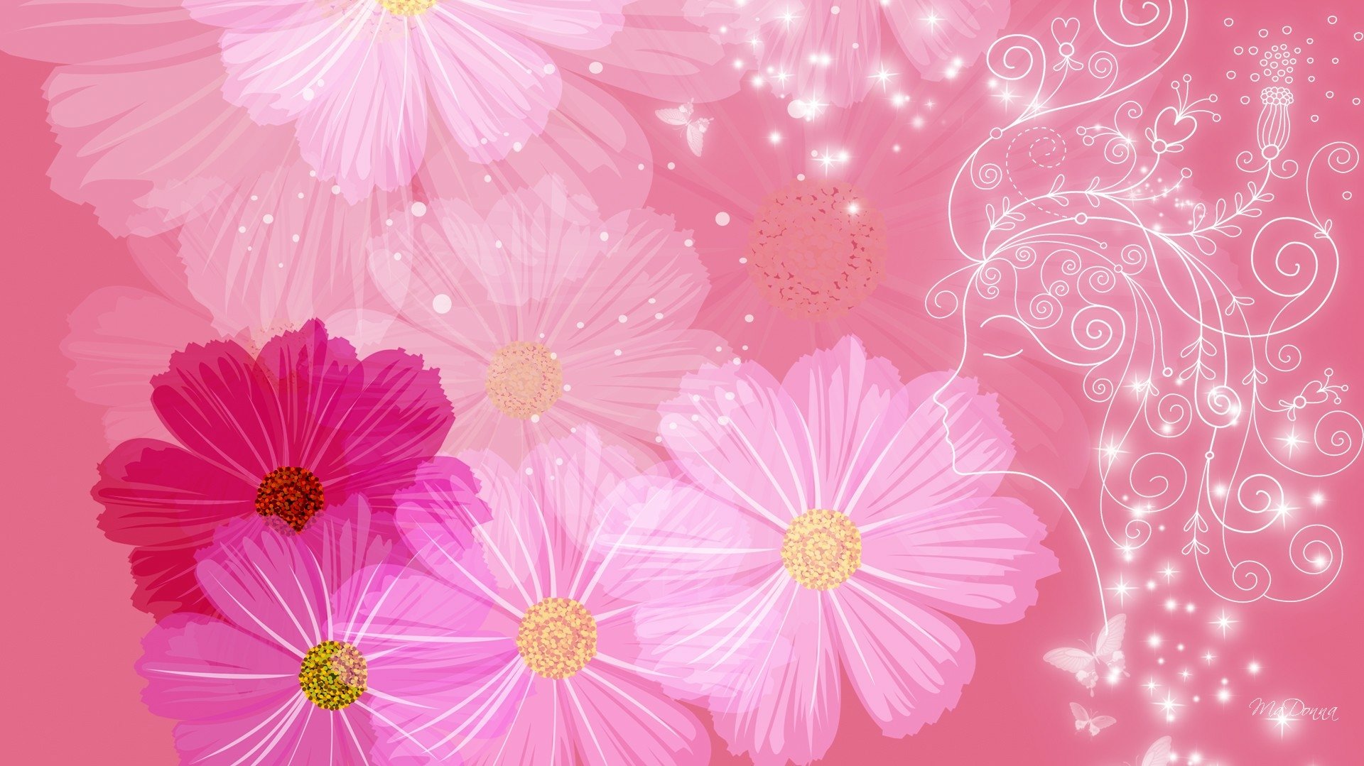 Download Pink Cosmos Artistic Flower Wallpaper by MaDonna