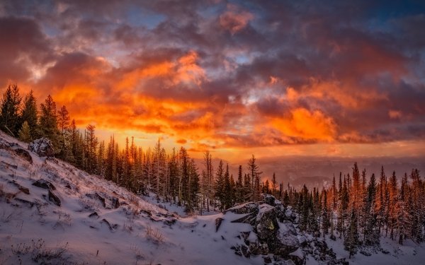 Nature Landscape Sunset Winter Snow Cloud Forest HD Wallpaper | Background Image