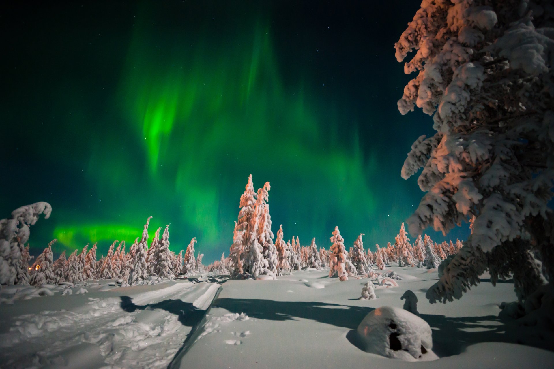 Aurora Boreal 4k Ultra Fondo de pantalla HD | Fondo de Escritorio ...