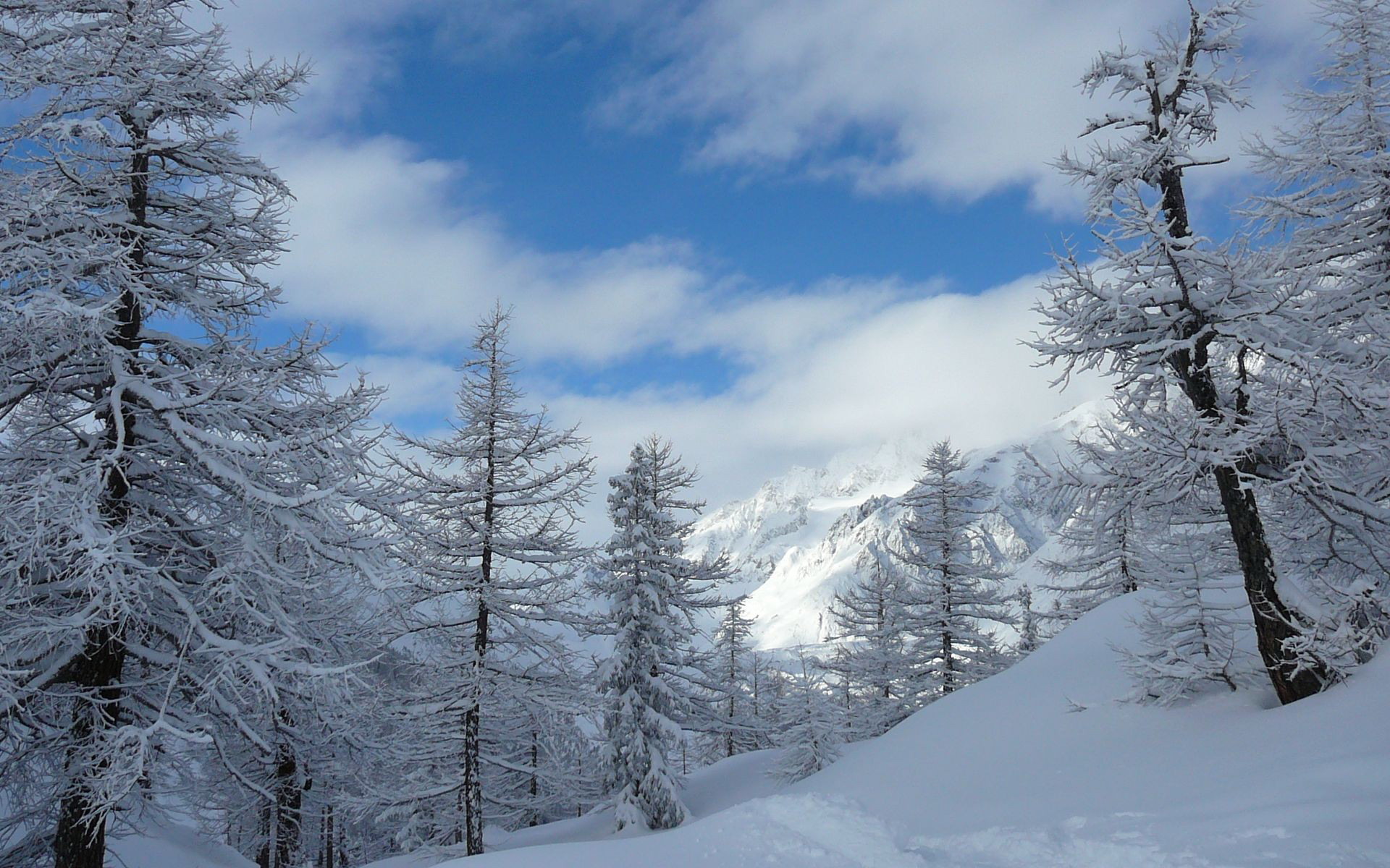 Download Mountain Snow Tree Nature Winter Snowy Mountain HD Wallpaper