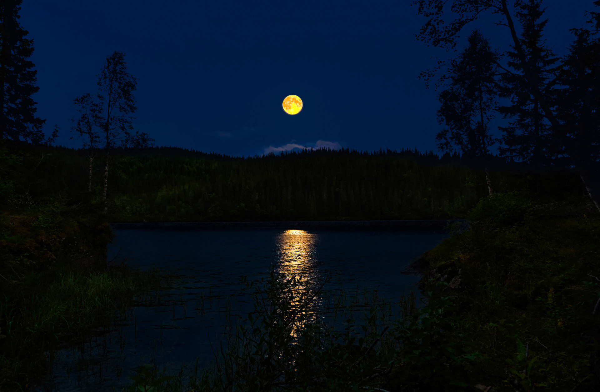 Download River Forest Night Nature Moon HD Wallpaper