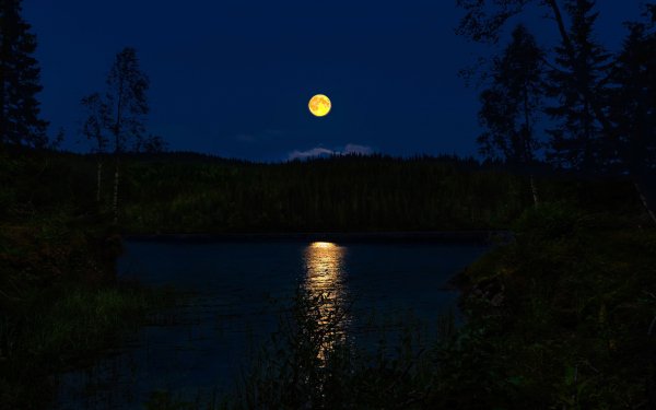 Earth Moon Night Forest River HD Wallpaper | Background Image
