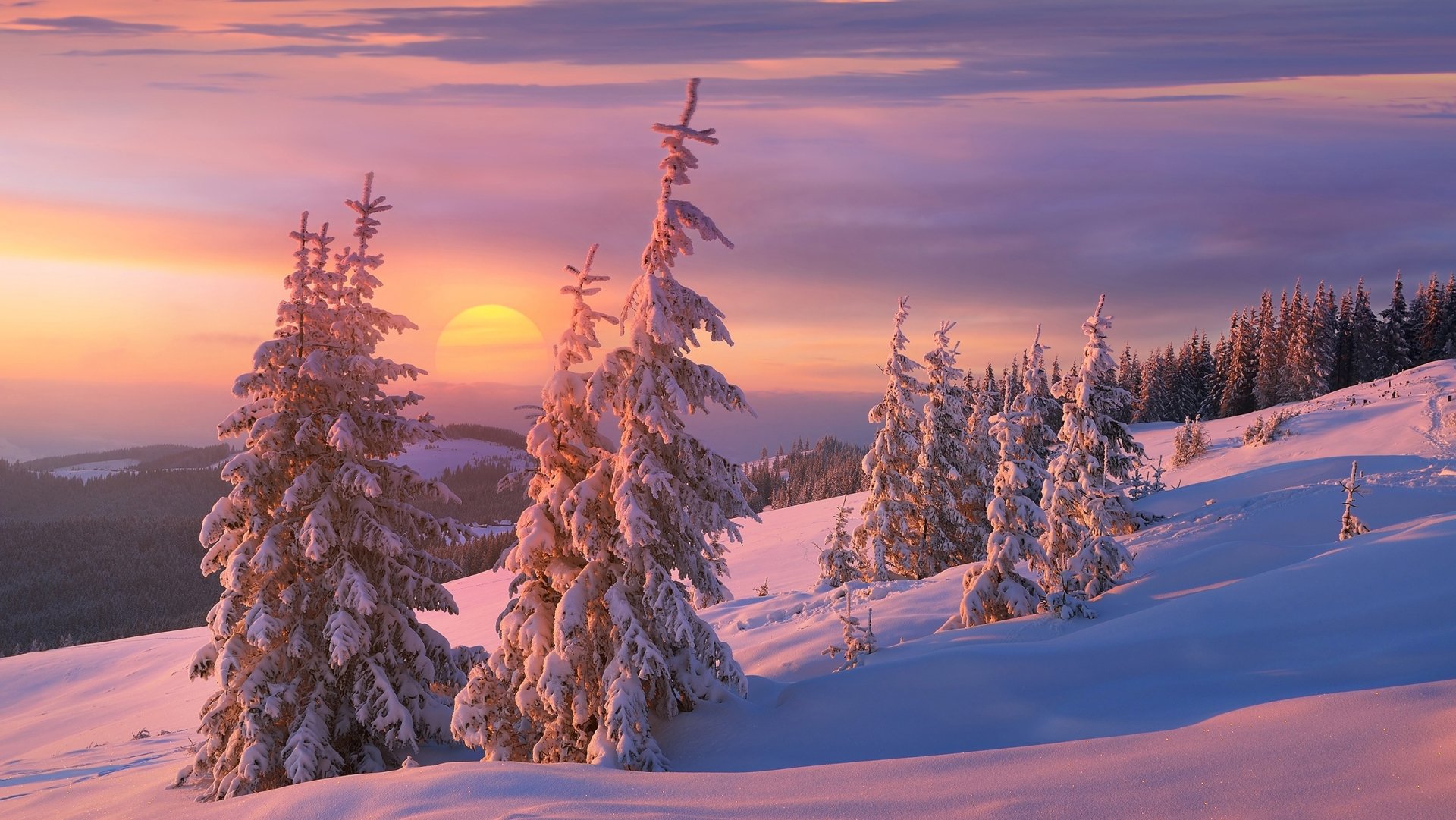 HD desktop wallpaper of a winter landscape featuring snow-covered trees under a vibrant sunset sky with the sun near the horizon.