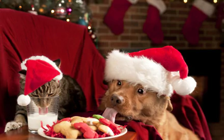 Funny HD desktop wallpaper showing a dog and a cat wearing Santa hats. The cat drinks milk while the dog licks a plate of cookies, creating a festive and humorous holiday scene.