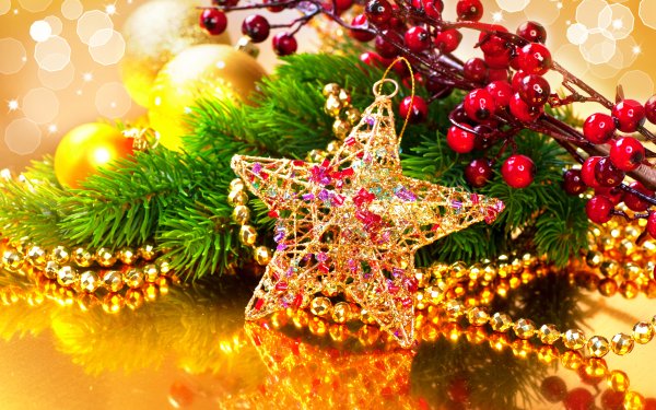Holiday Christmas Decoration Christmas Ornaments Star Berry HD Wallpaper | Background Image