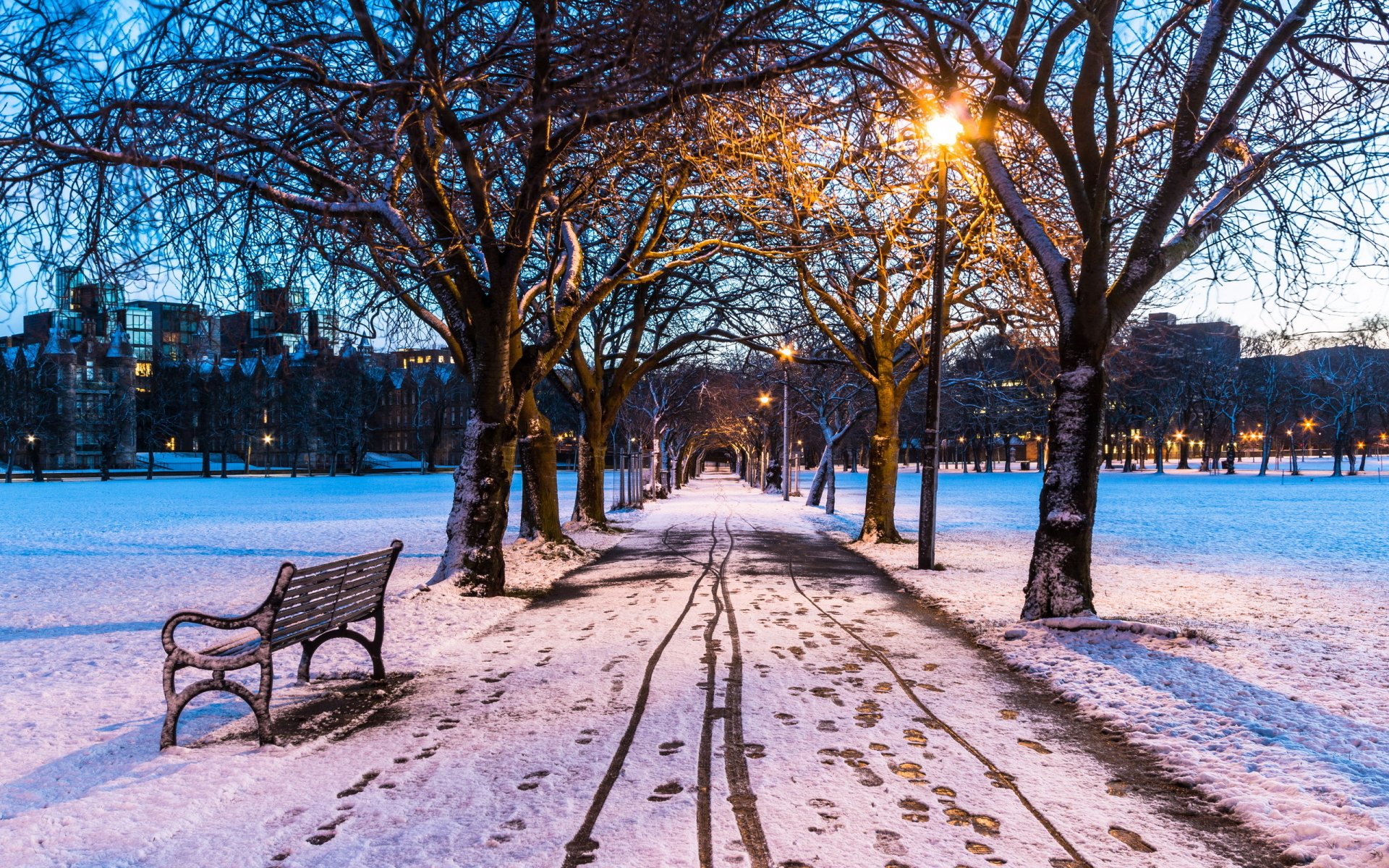 A serene winter park scene featuring a snow-covered path lined with trees and a bench, illuminated by soft lights. The tranquil atmosphere captures the essence of a snowy white landscape.