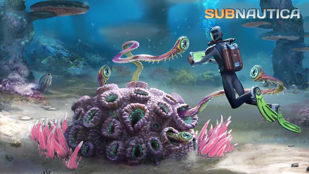 HD desktop wallpaper of Subnautica featuring a diver observing an alien sea creature in an underwater ecosystem.