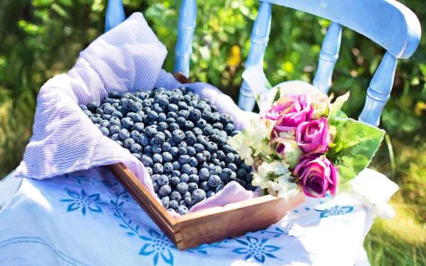 fruit berry food blueberry HD Desktop Wallpaper | Background Image