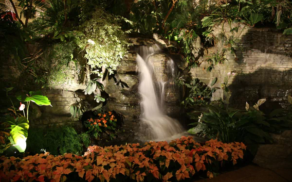 HD desktop wallpaper of a garden featuring a man-made waterfall surrounded by vibrant poinsettia flowers and lush green plants.
