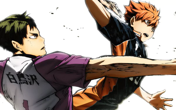 HD wallpaper featuring Wakatoshi Ushijima and Shōyō Hinata from the anime Haikyū!!.