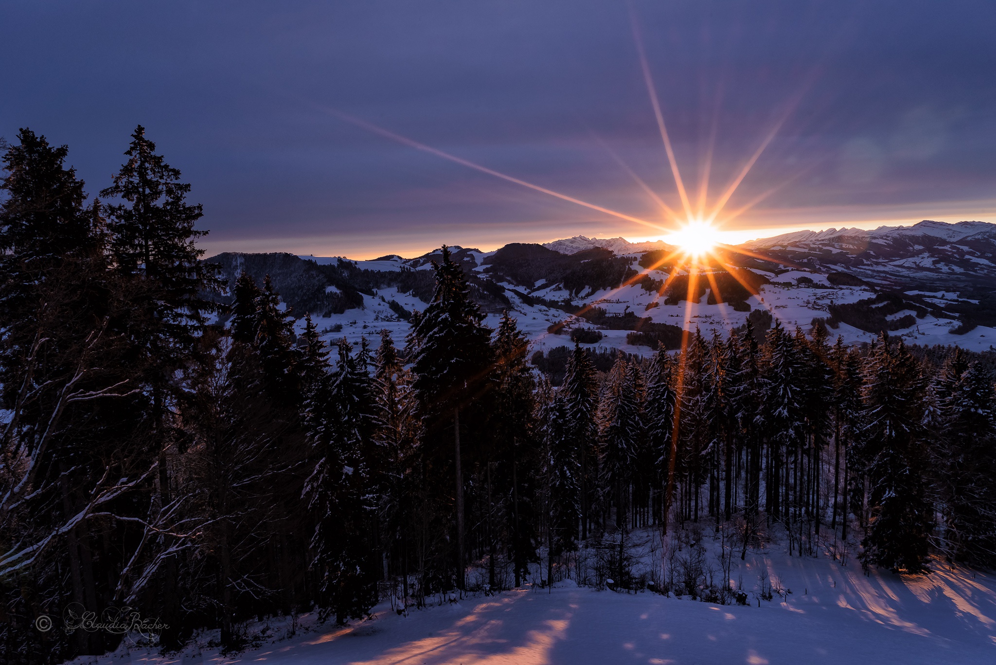 Download Forest Winter Mountain Nature Sunrise HD Wallpaper