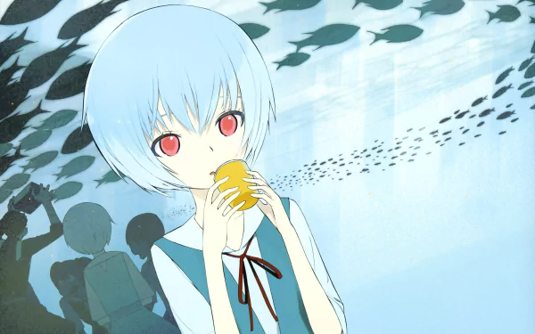 Rei Ayanami Anime Neon Genesis Evangelion HD Desktop Wallpaper | Background Image