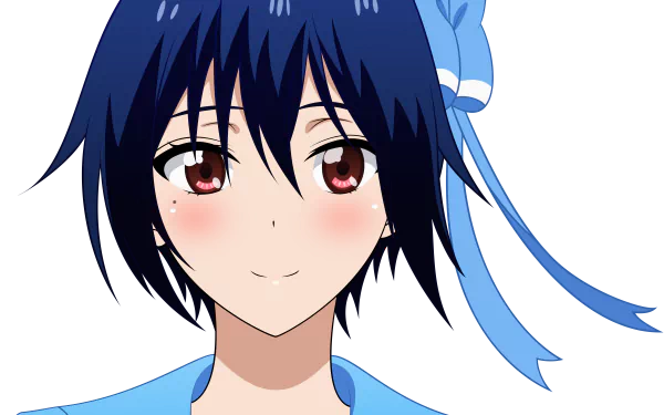 HD desktop wallpaper featuring Seishirou Tsugumi from the anime Nisekoi, showcasing her with a blue ribbon in her dark blue hair and a soft smile.