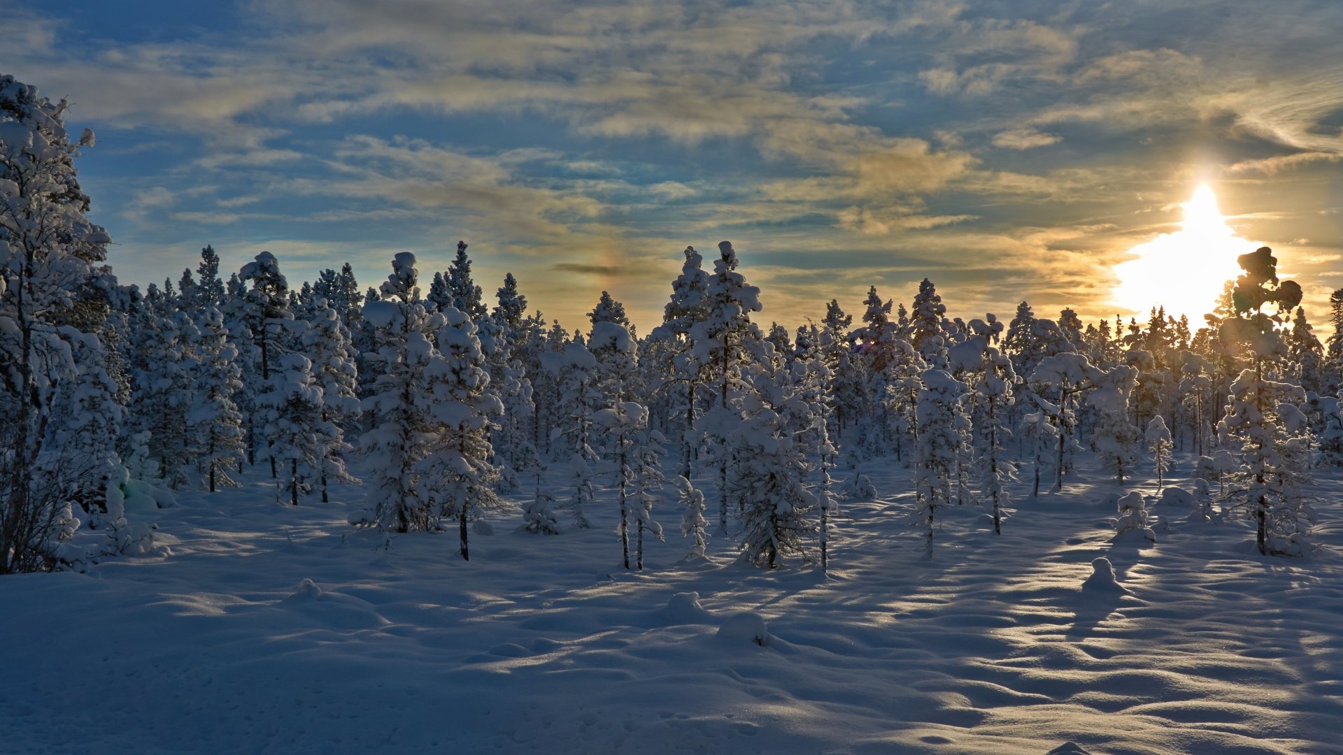 Nature Winter 4k Ultra Hd Wallpaper