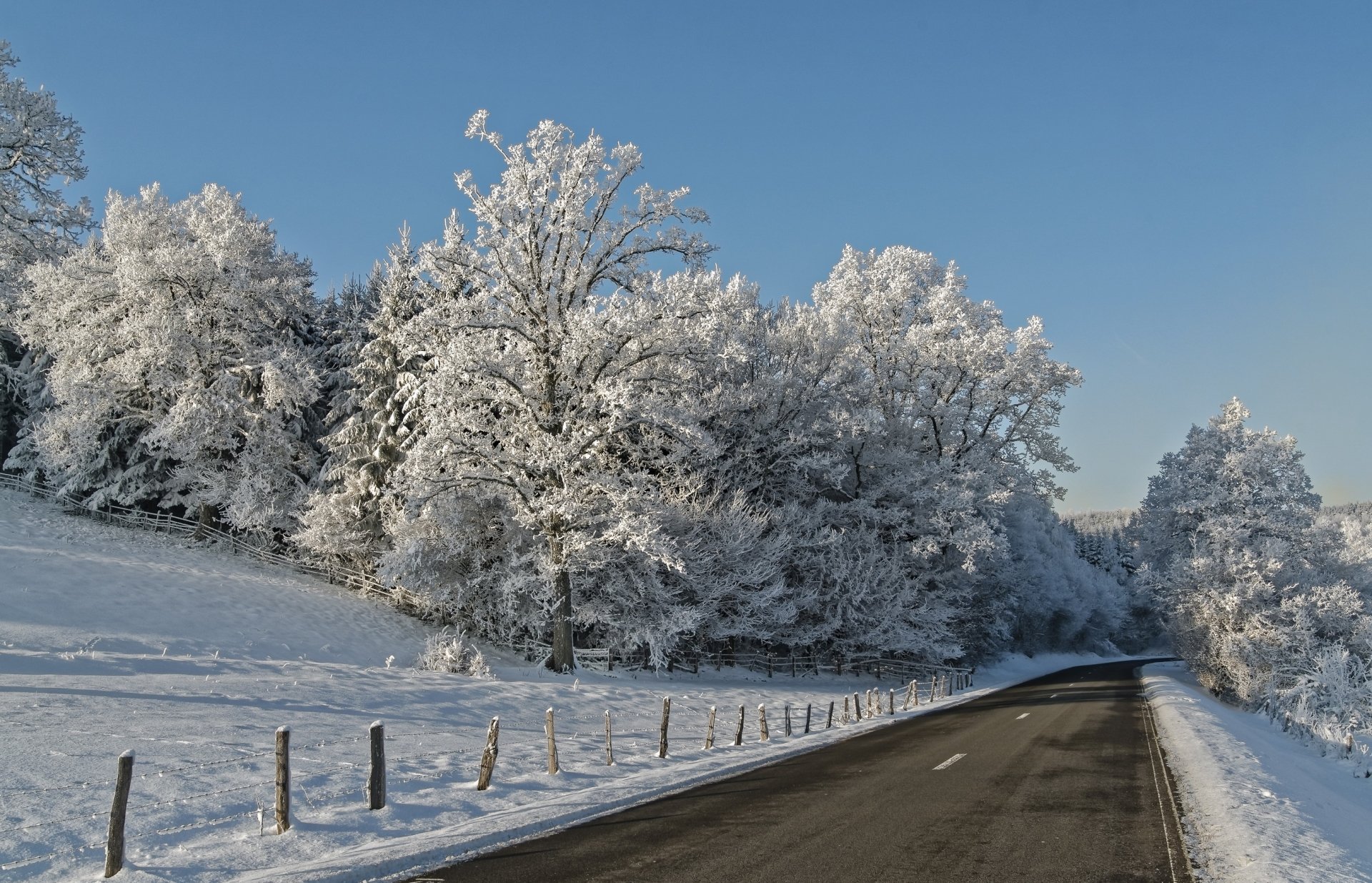 Download Forest Snow Winter Nature Man Made Road HD Wallpaper