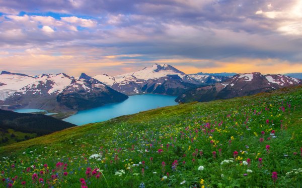 Earth Landscape Flower Wildflower Field Spring Mountain Lake HD Wallpaper | Background Image