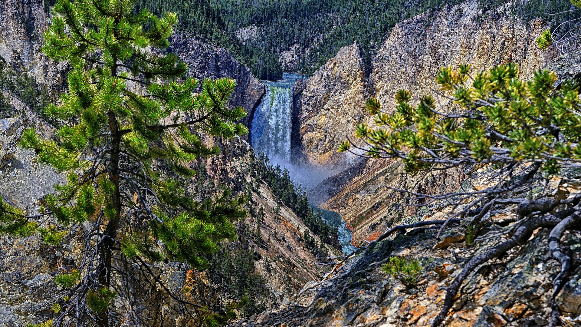 Nature Yellowstone National Park HD Wallpaper | Background Image