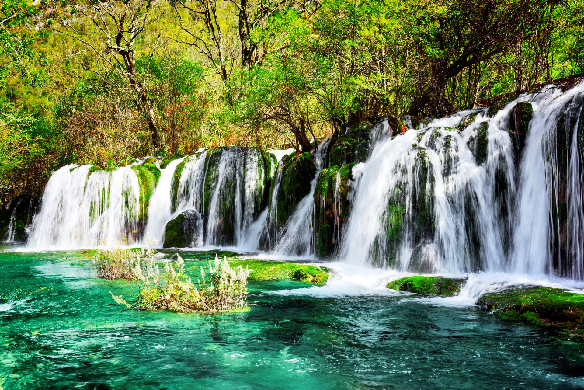 Download Turquoise Foam Moss Sunny Nature Waterfall 4k Ultra HD Wallpaper