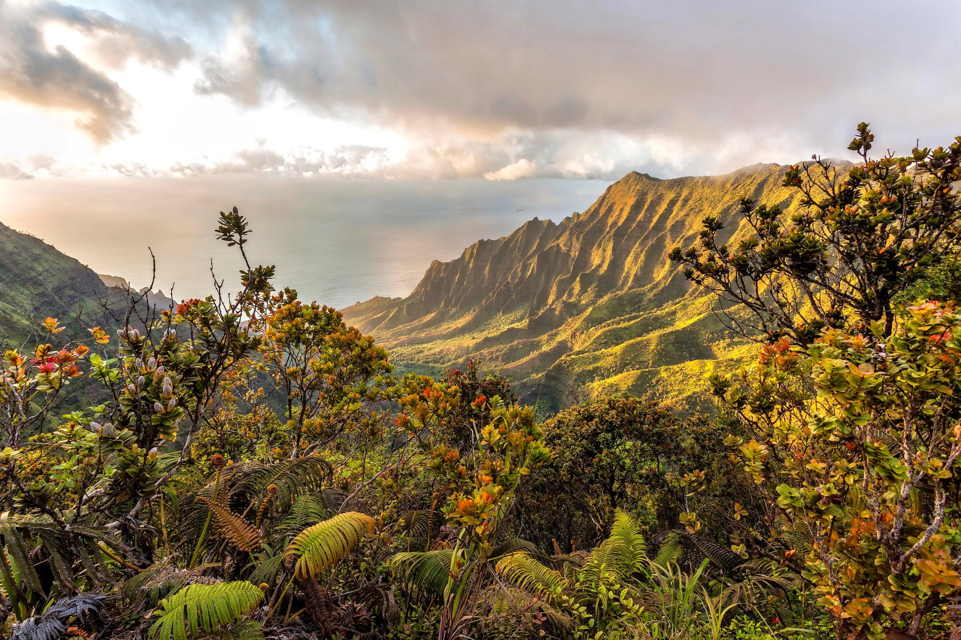 2K Quad HD PC desktop wallpaper of a sunlit Hawaiian mountain ridge with lush foreground ferns and a distant ocean horizon.