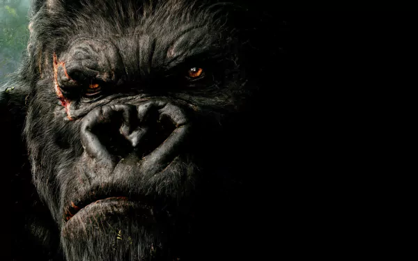 movie King Kong (2005) HD Desktop Wallpaper | Background Image