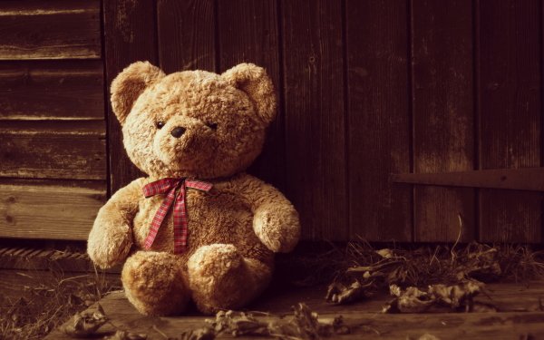 Man Made Stuffed Animal Teddy Bear HD Wallpaper | Background Image