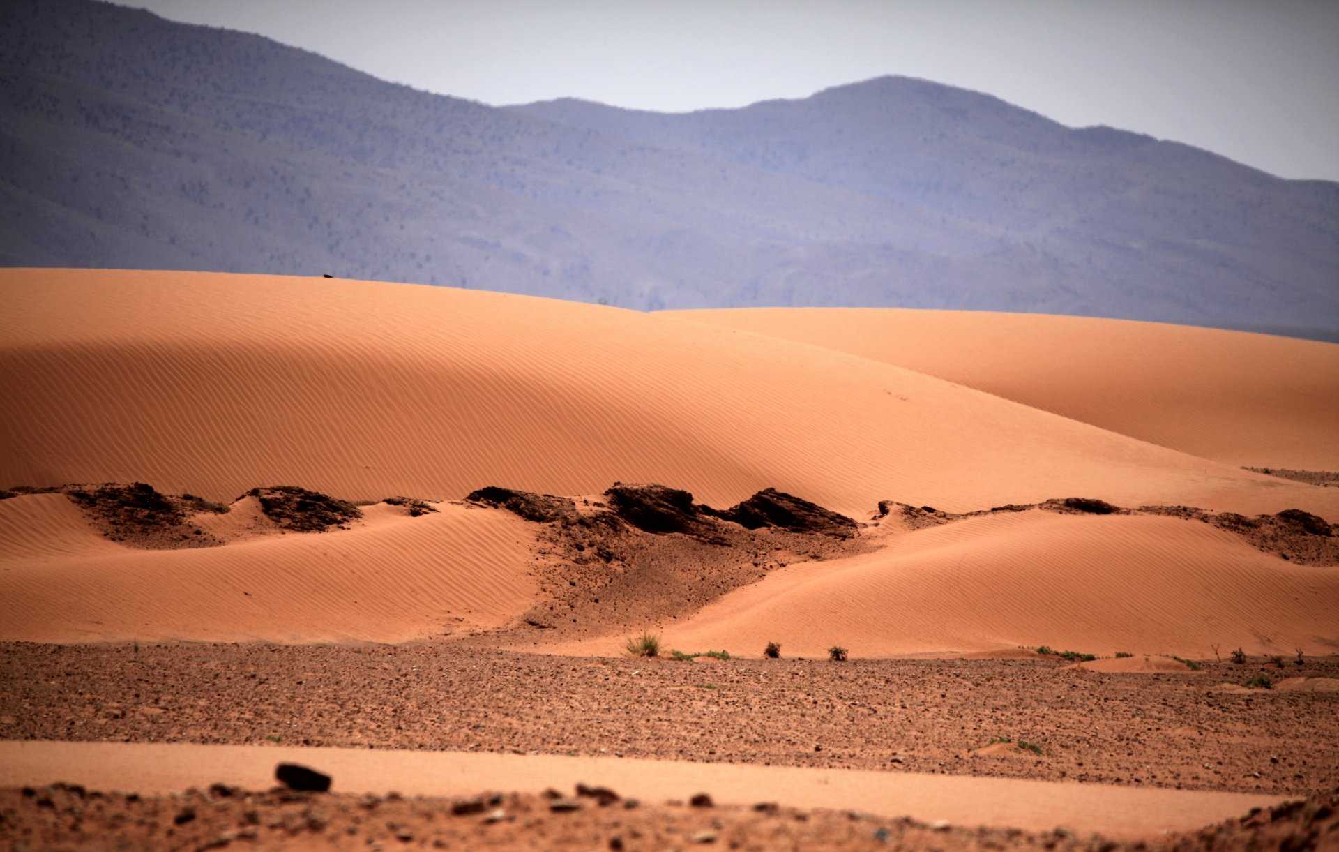 5K Ultra HD PC desktop wallpaper: sunlit golden sand dunes of the Sahara in Algeria, Africa, showing rippled desert sands and distant rocky ridges.