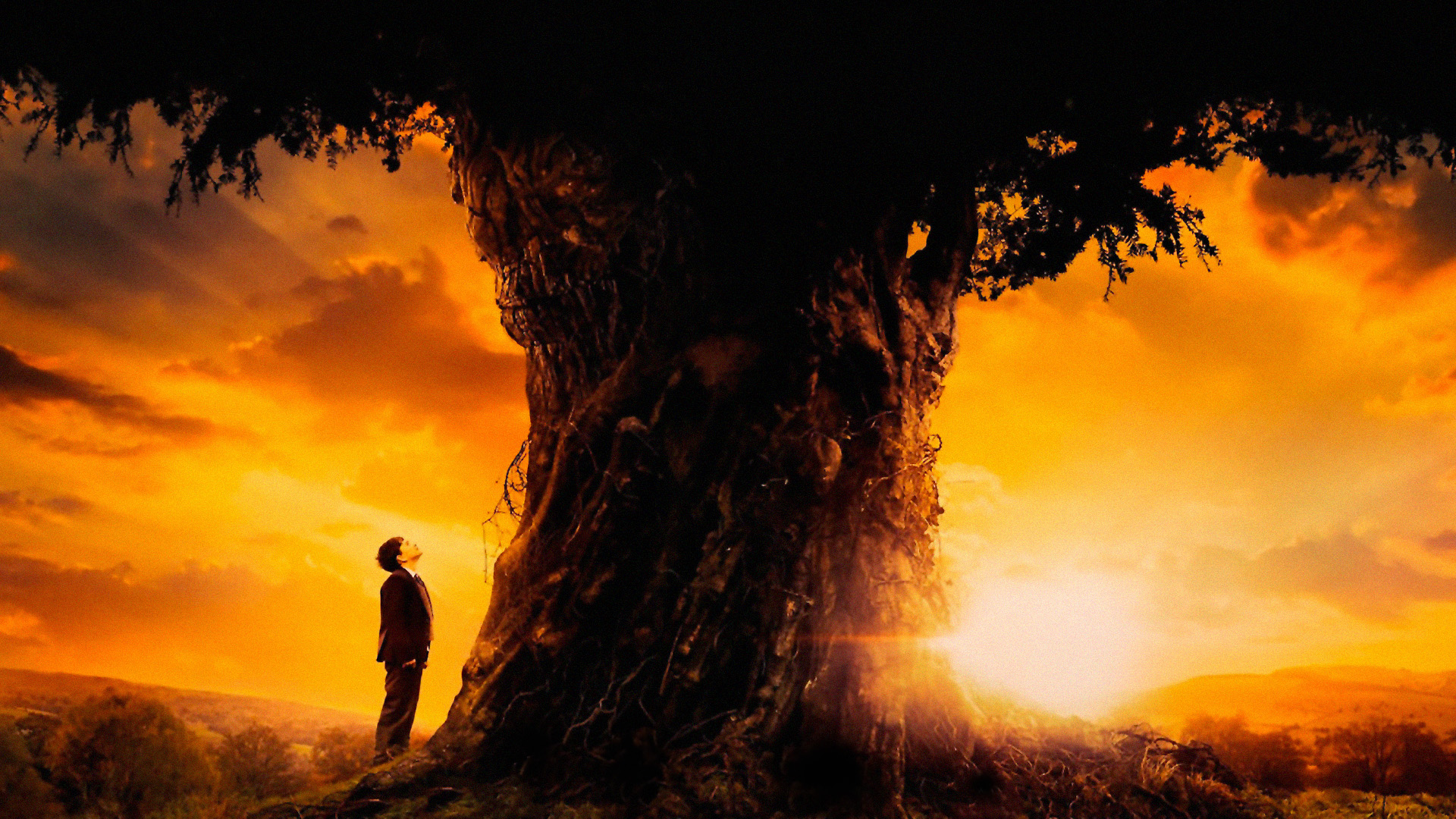 Movie A Monster Calls HD Wallpaper | Background Image