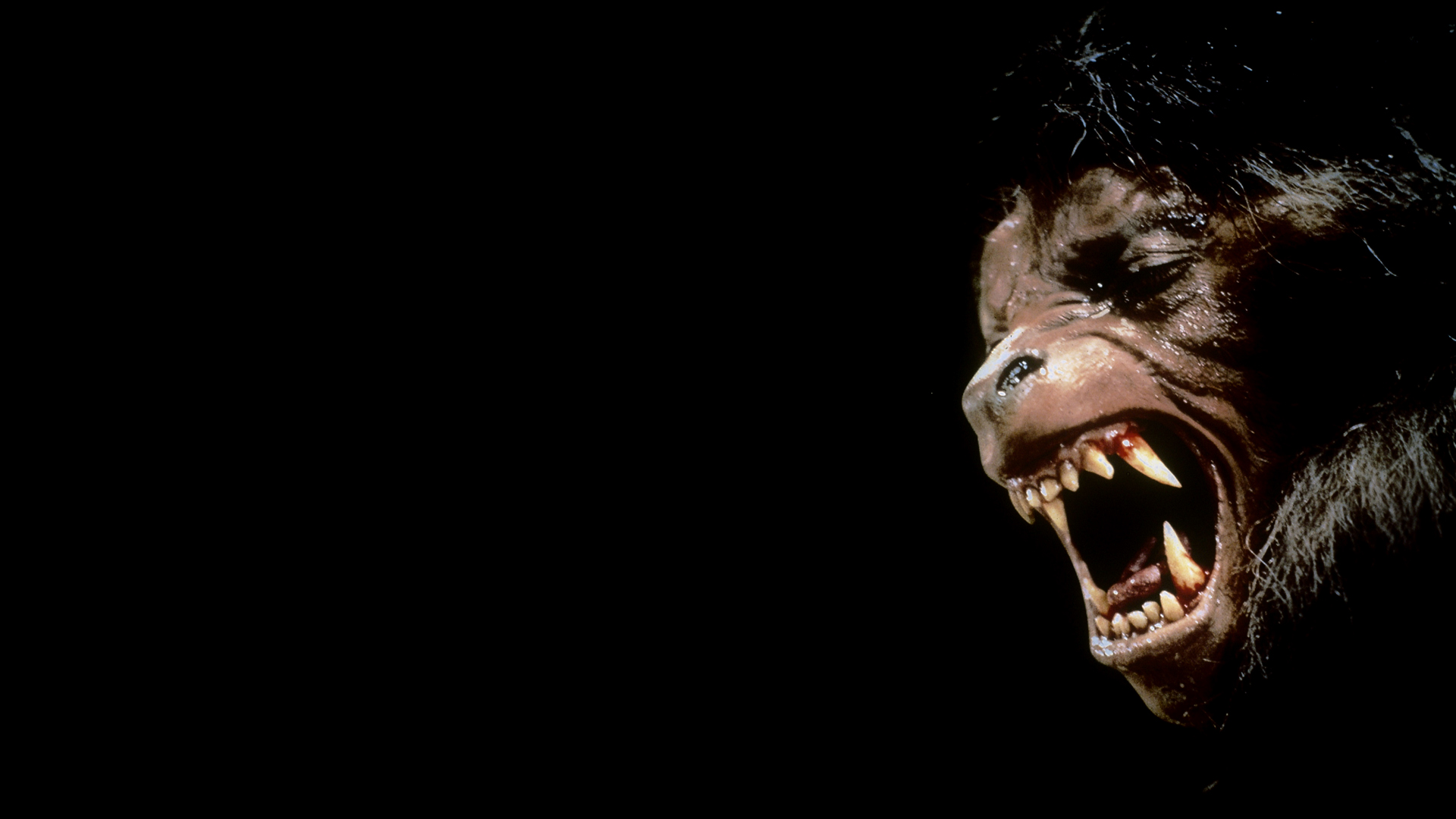 Movie An American Werewolf In London (1981) HD Wallpaper | Background Image