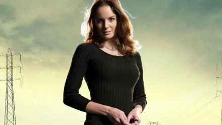 HD PC desktop wallpaper featuring a character from the TV show Prison Break, set against a moody sky background.
