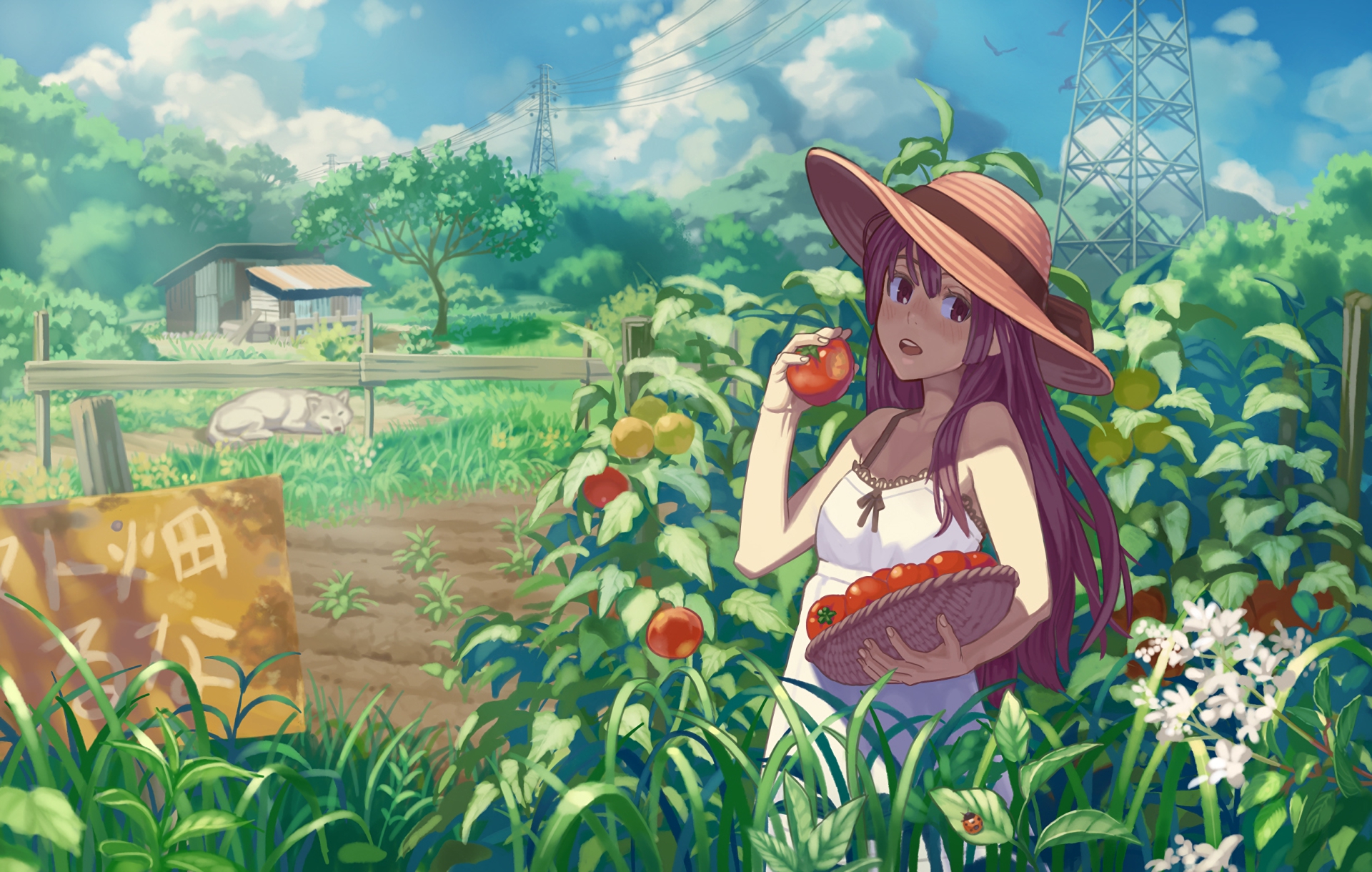 Greenery Farm Village Path White Clouds Blue Sky Anime Background Anime  Background, HD wallpaper | Peakpx
