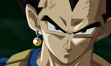HD desktop wallpaper of Vegeta from Dragon Ball Super, featuring a close-up of his intense gaze and distinctive earrings.