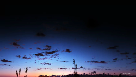 Anime-style HD PC desktop wallpaper featuring a serene sky at dusk with scattered clouds and silhouetted plants along the horizon.