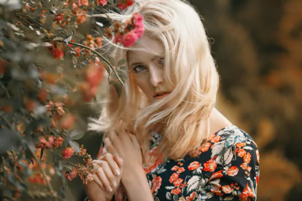 blonde woman model HD Desktop Wallpaper | Background Image