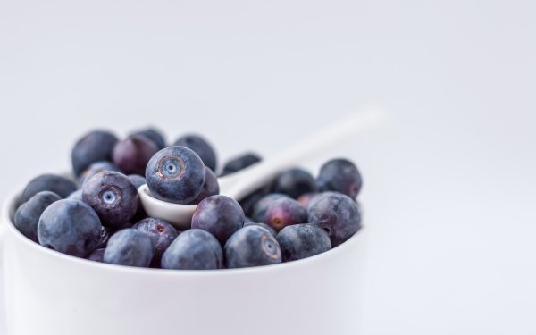 Food Blueberry Berry Fruit HD Wallpaper | Background Image