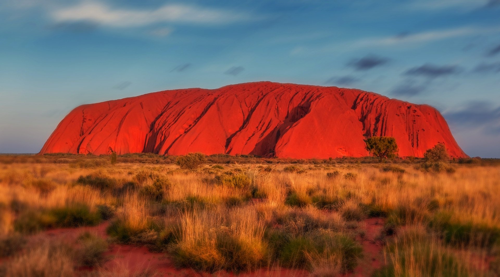 Sunlit Uluru (Ayers Rock) rising from red desert grasses in Uluru-Kata Tjuta National Park, Australia — sandstone monolith HD desktop wallpaper.