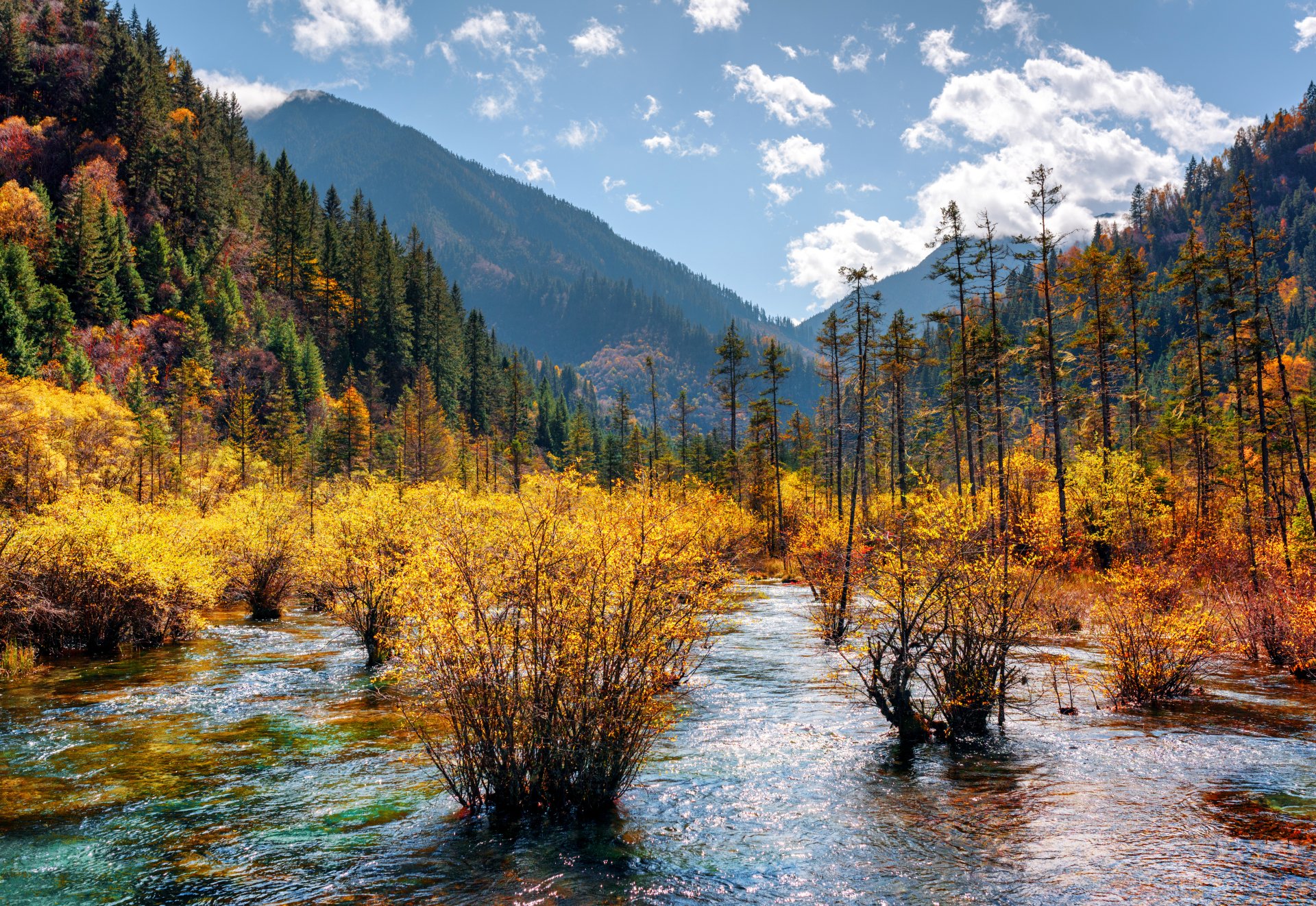 Download Tree Mountain Fall Nature River 4k Ultra HD Wallpaper ...