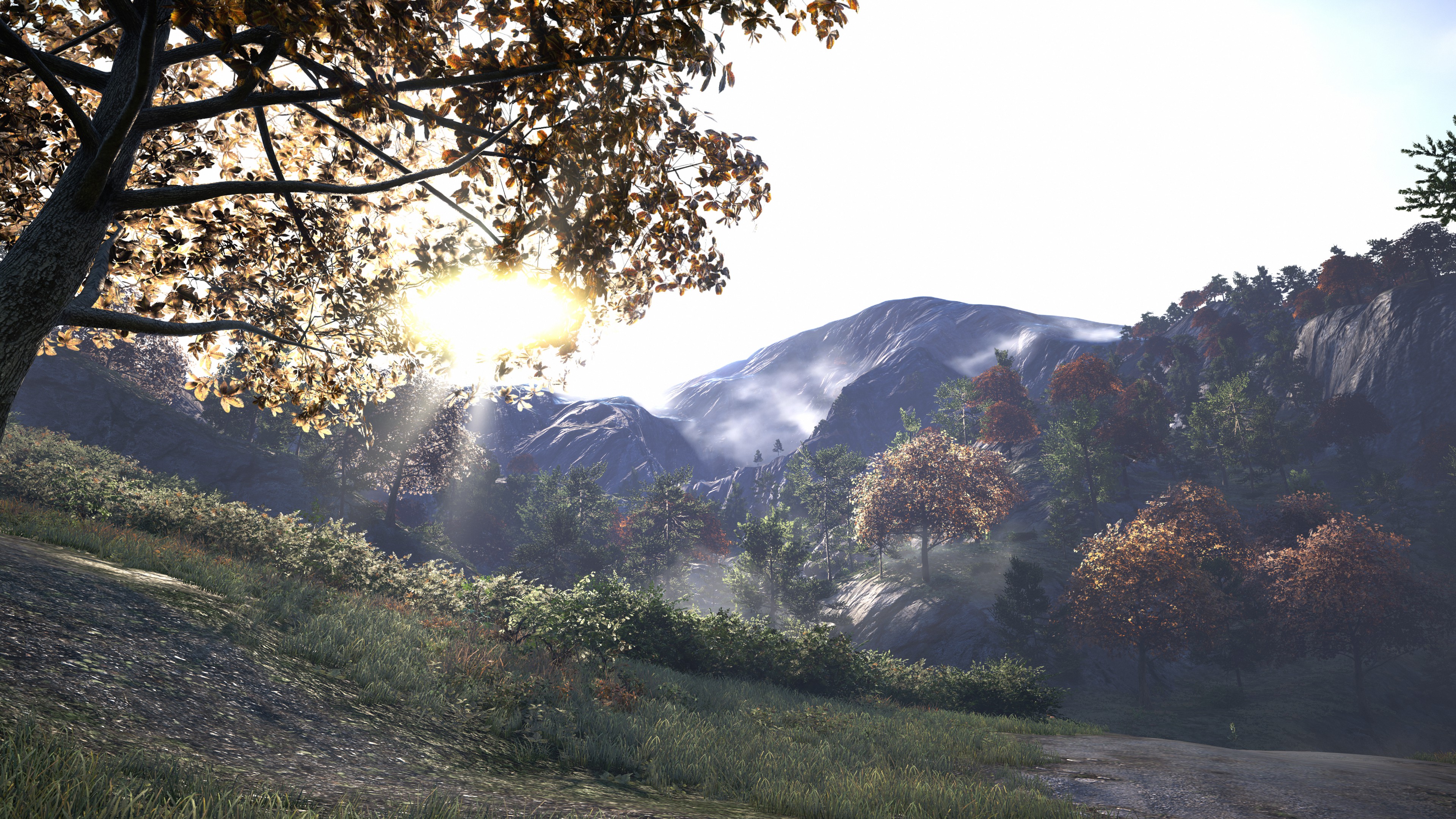 Video Game Far Cry 4 HD Wallpaper | Background Image