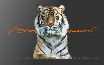 1487 Tiger HD Wallpapers | Background Images - Wallpaper Abyss - Page 7